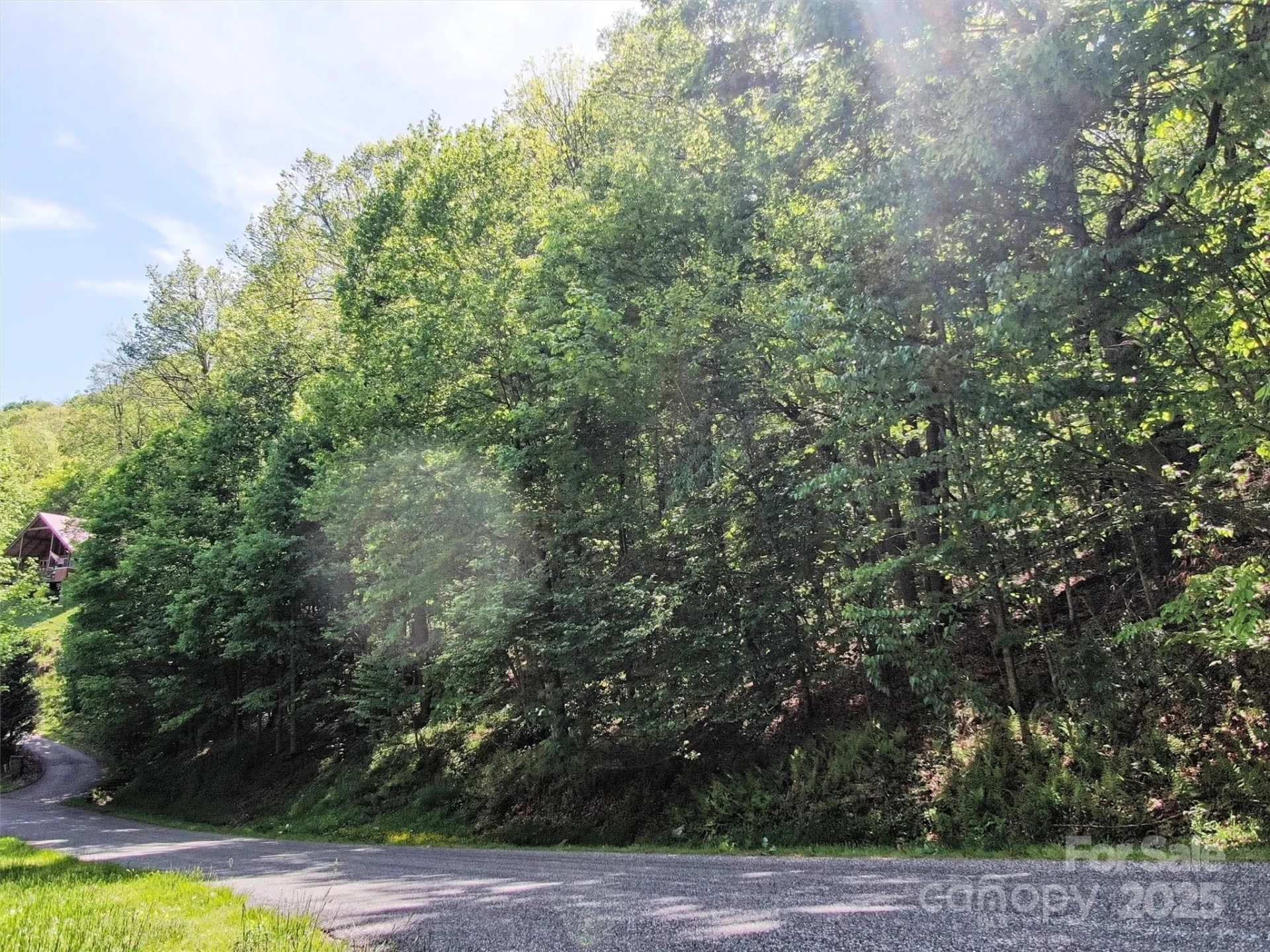 TBD Goldenleaf Road #74 - Photo 9