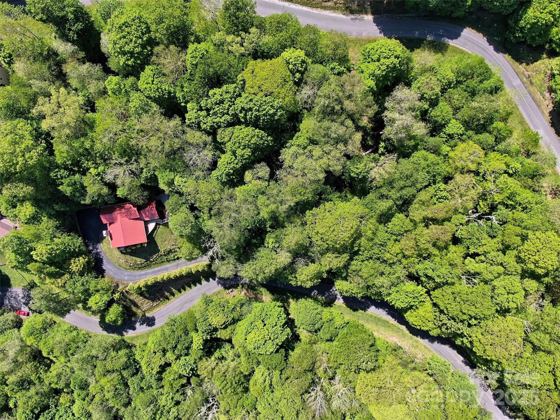 TBD Goldenleaf Road #74 - Photo 10