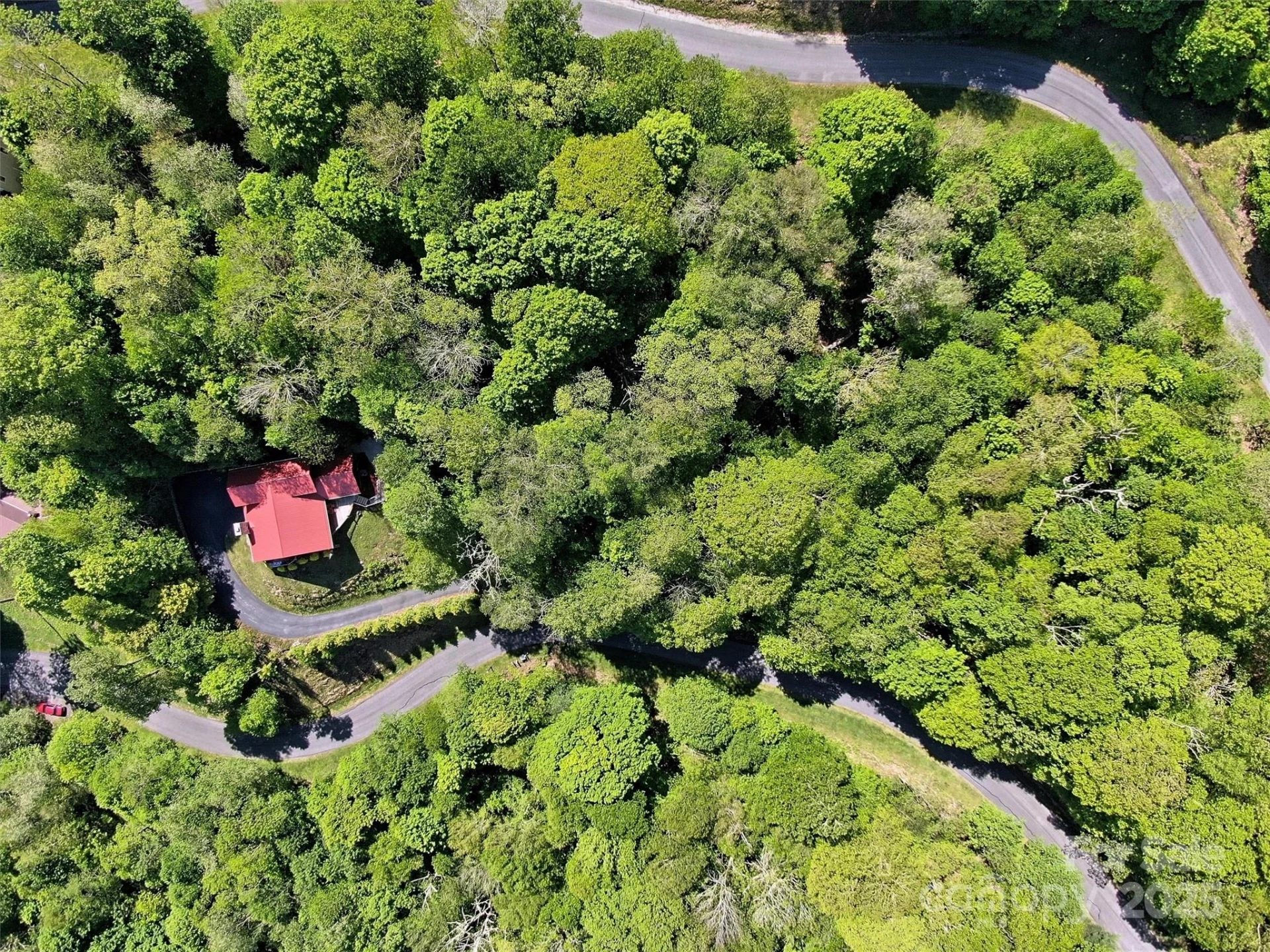 TBD Goldenleaf Road #74 - Photo 10