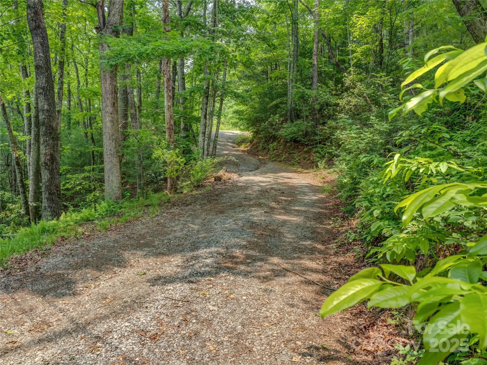 0000 Israel Road - Photo 2