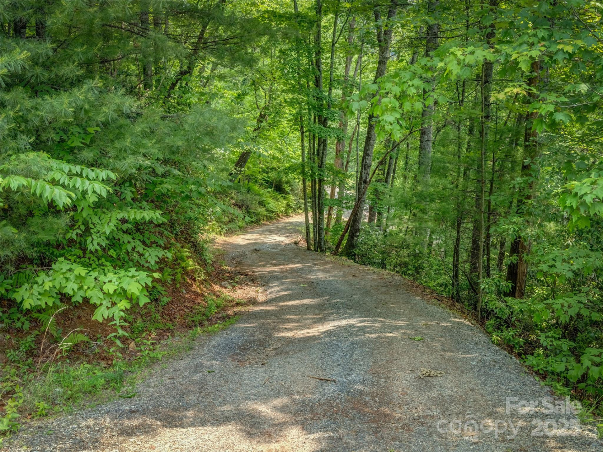 0000 Israel Road - Photo 11