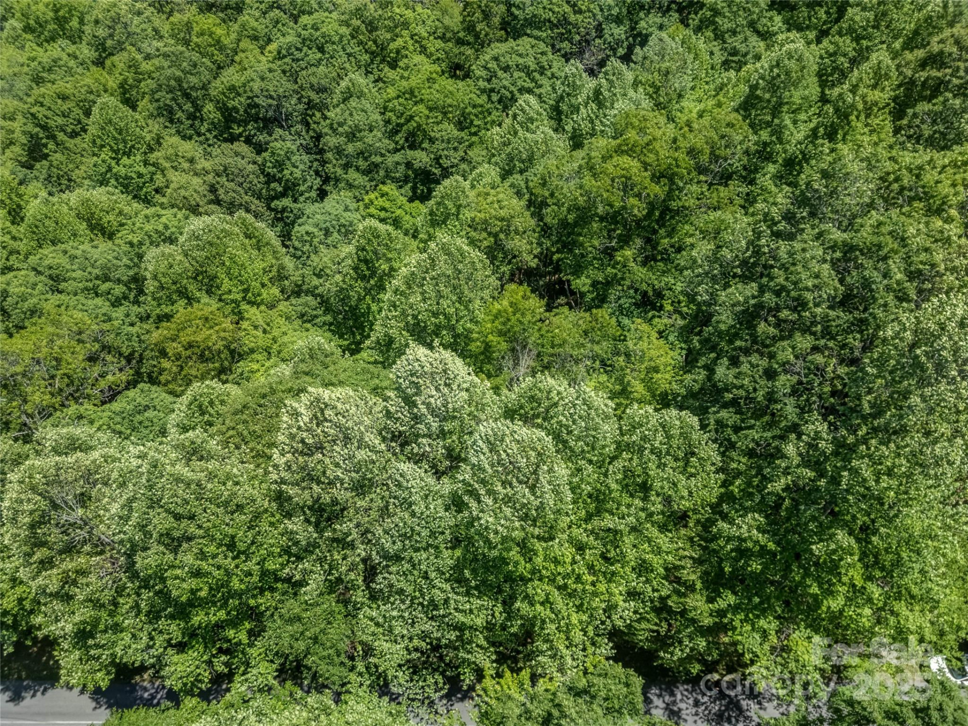 0000 Israel Road - Photo 12