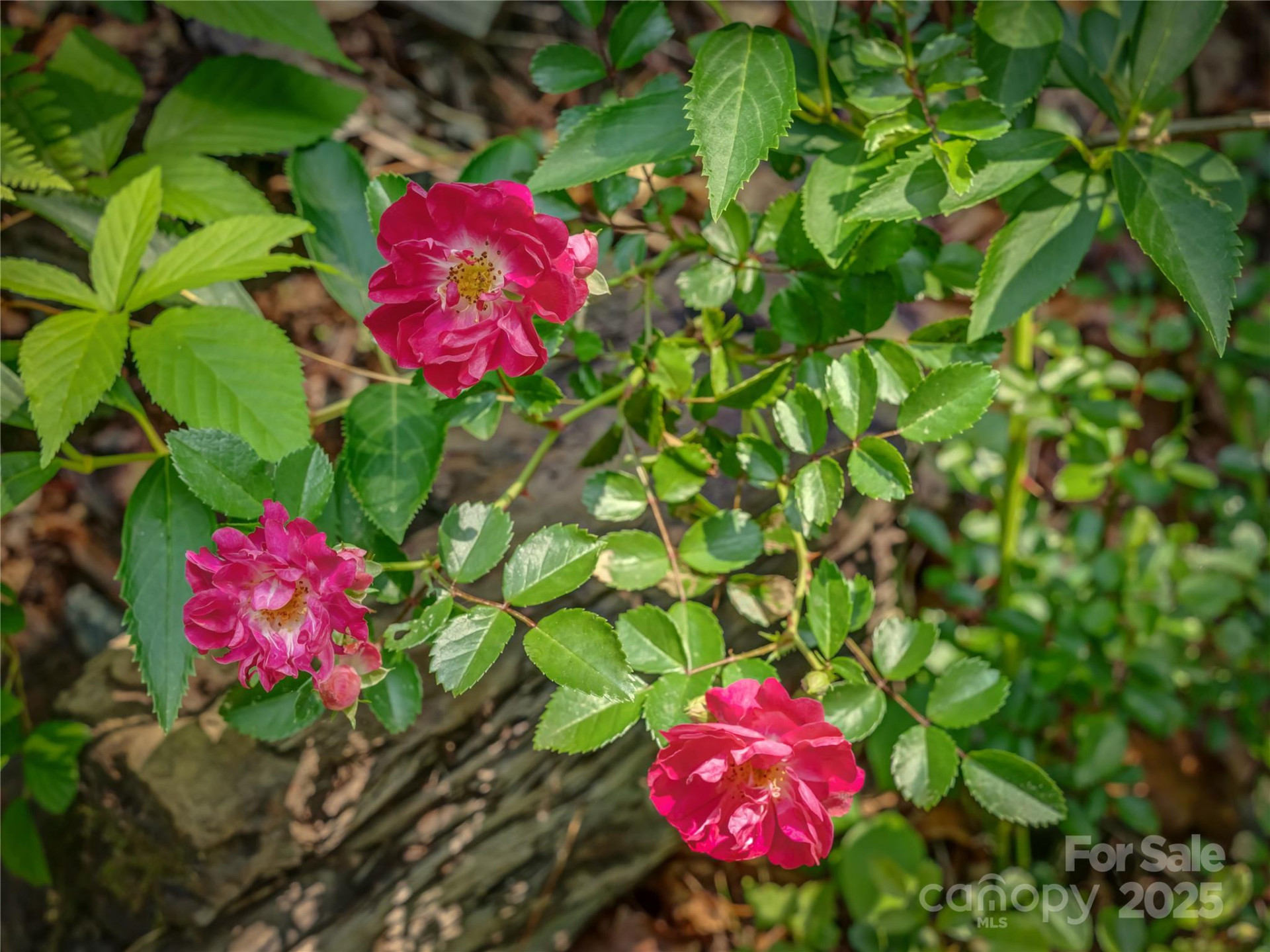 0000 Israel Road - Photo 13