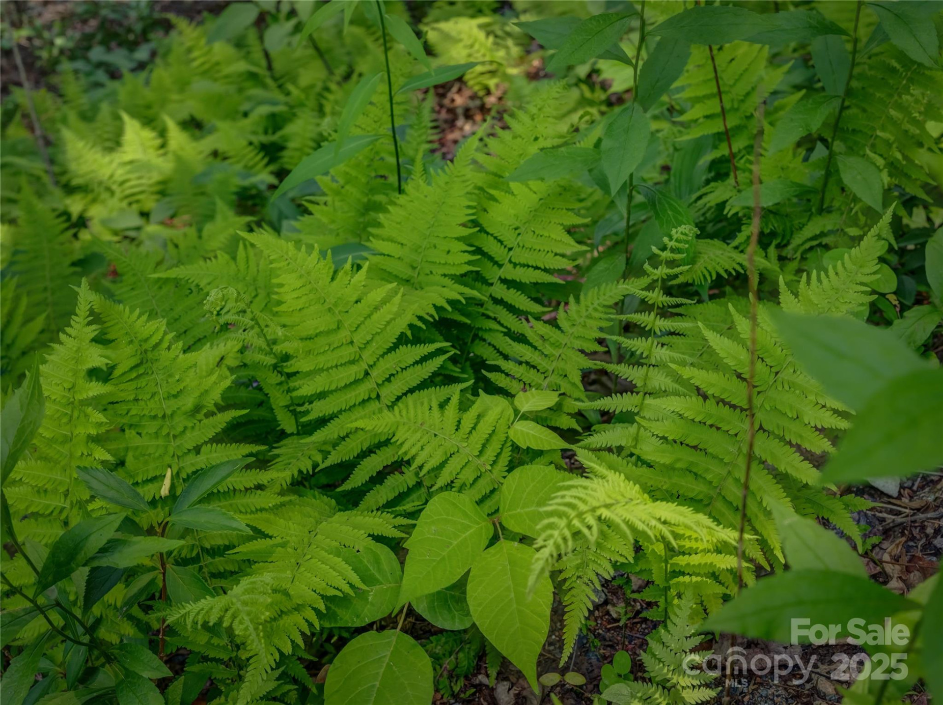 0000 Israel Road - Photo 15