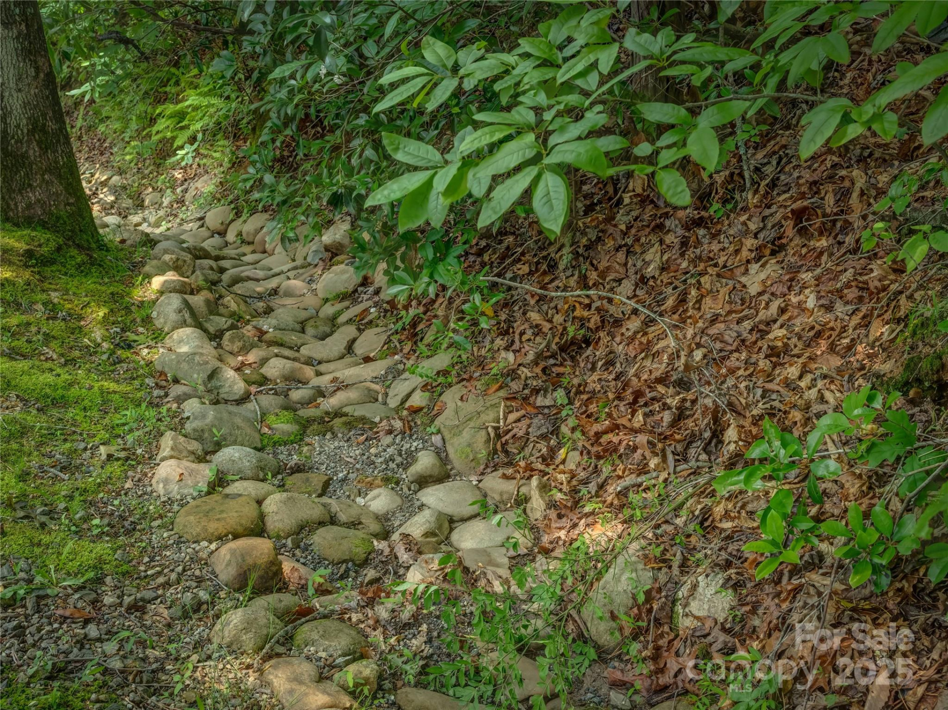 0000 Israel Road - Photo 17