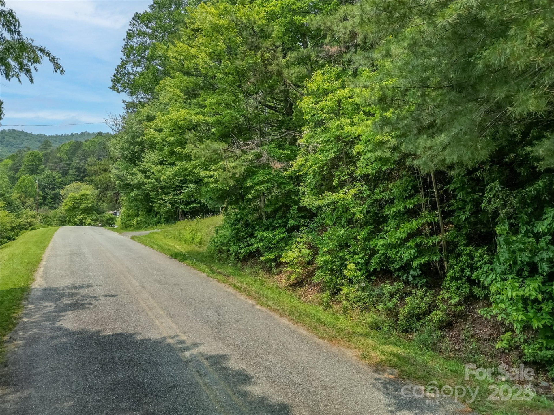 0000 Israel Road - Photo 3