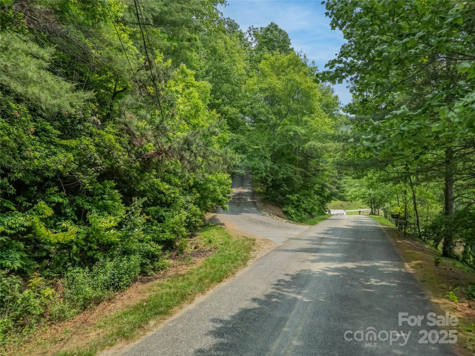 0000 Israel Road - Photo 4