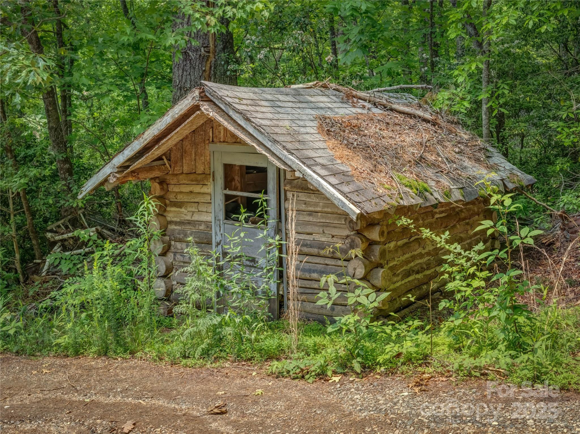 0000 Israel Road - Photo 5