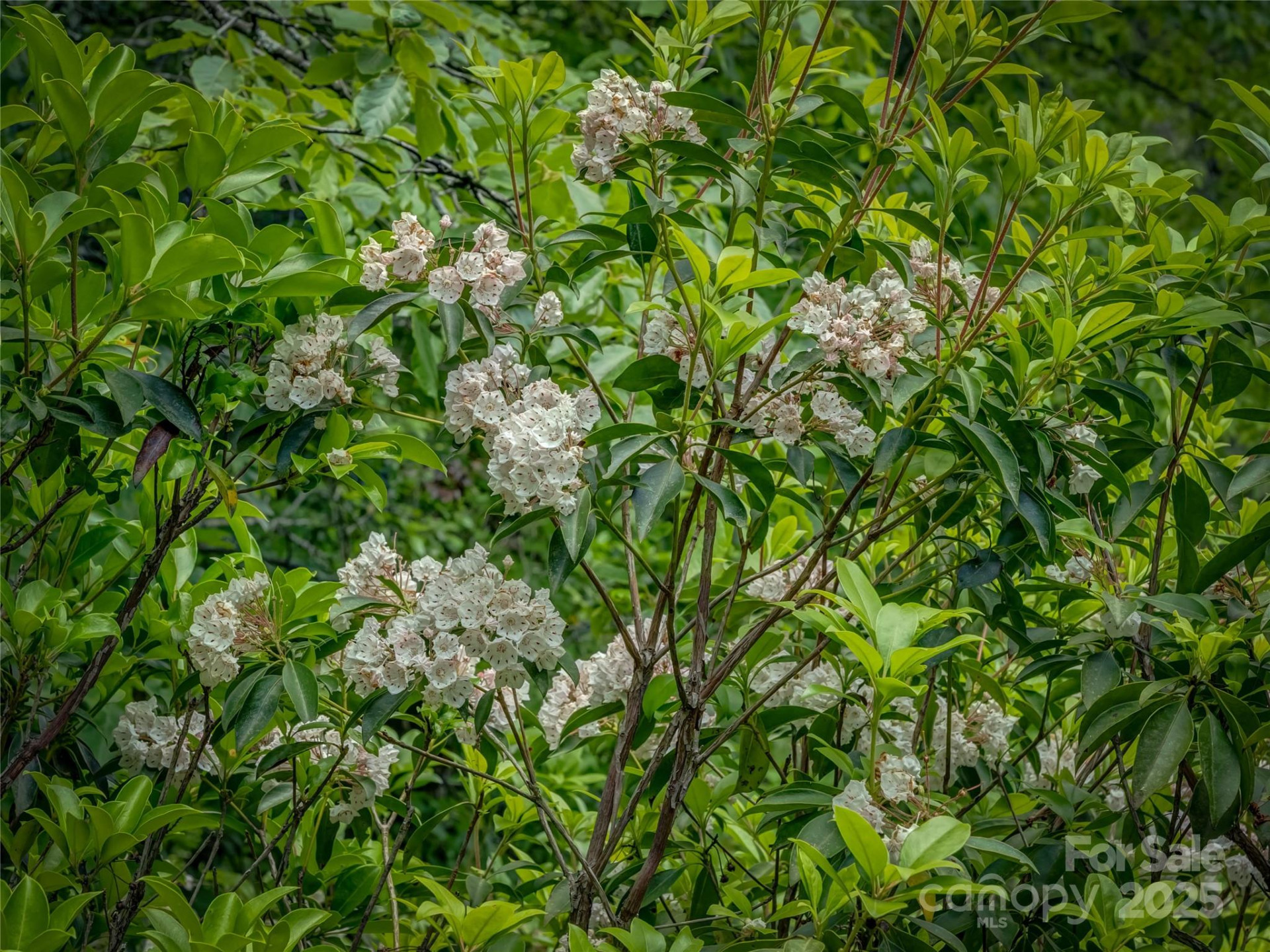 0000 Israel Road - Photo 9