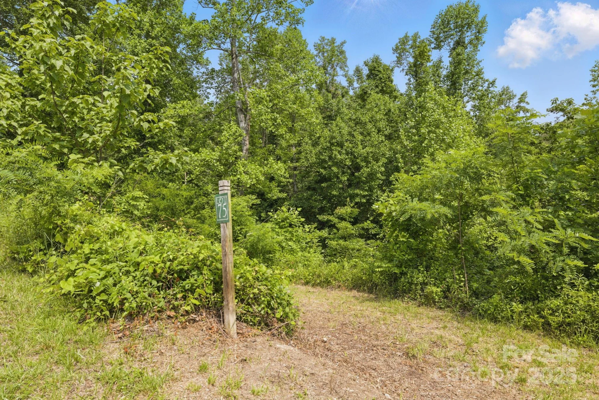 000 Silverglen Way #75 - Photo 2