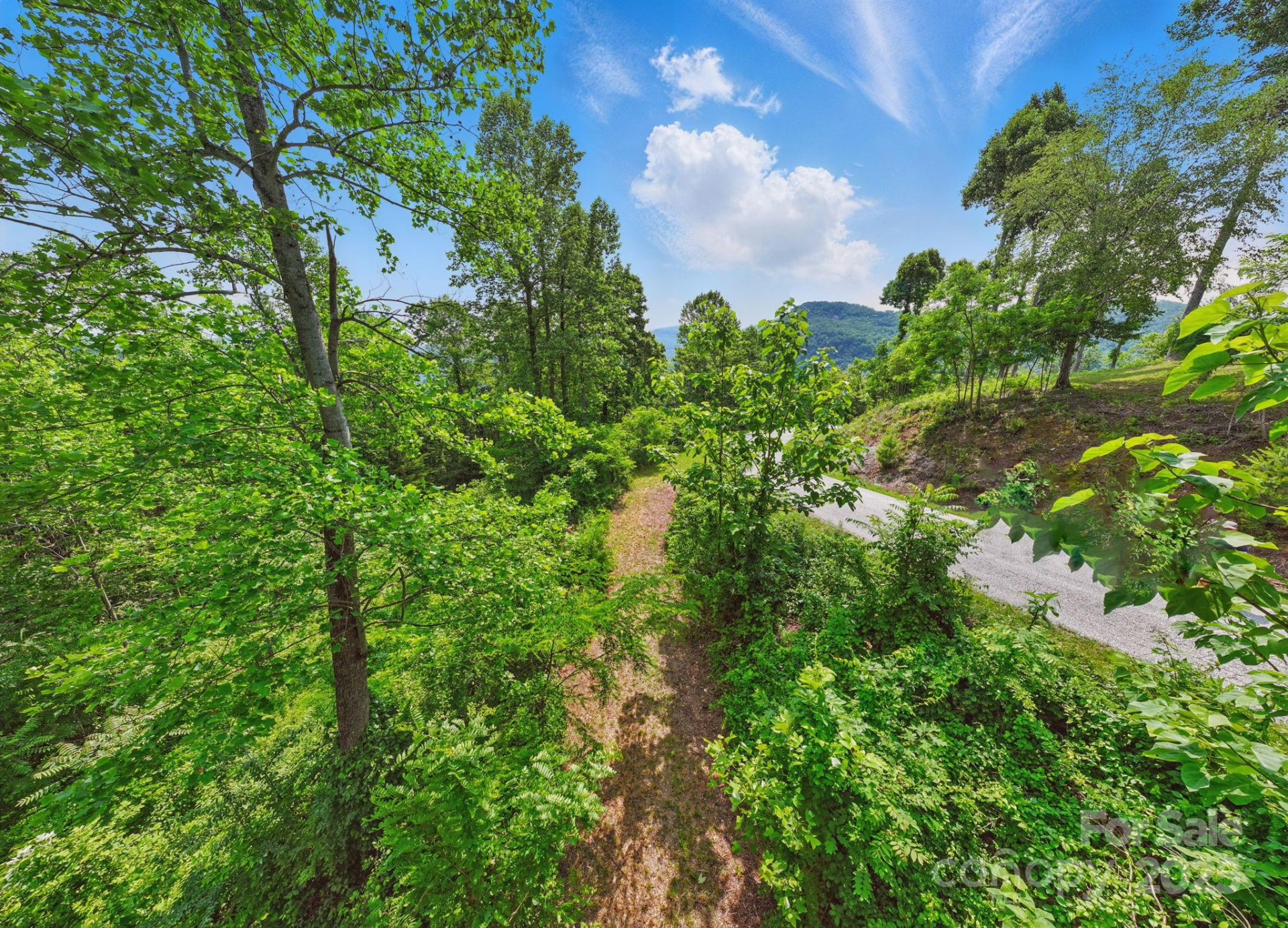 000 Silverglen Way #75 - Photo 3