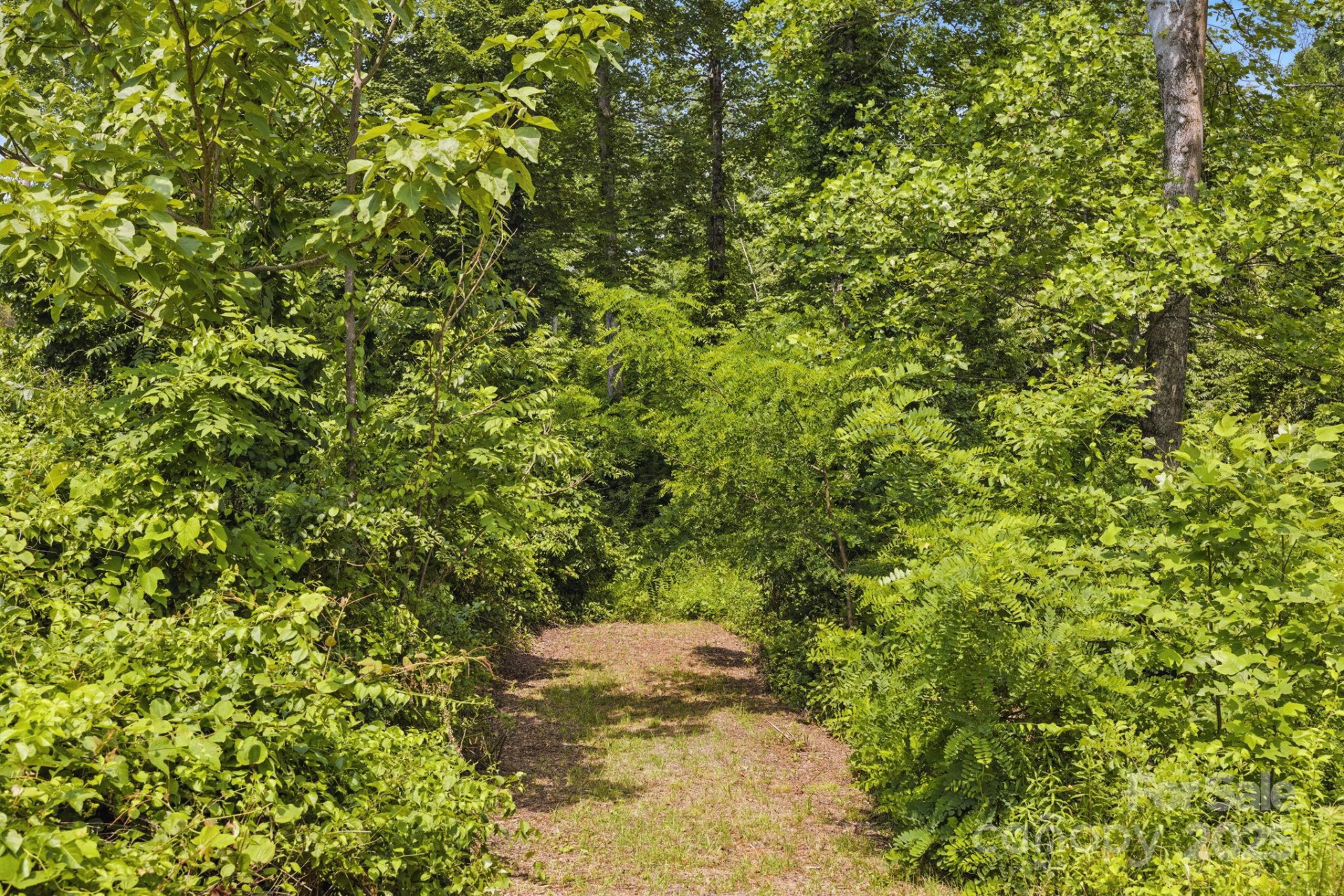 000 Silverglen Way #75 - Photo 4