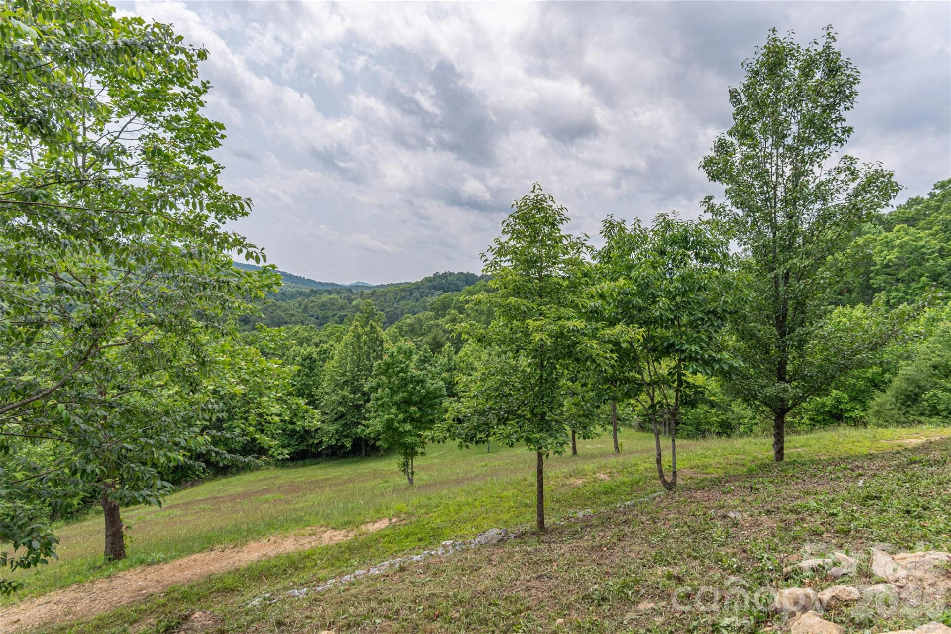 930 Big Raven Lane - Photo 30