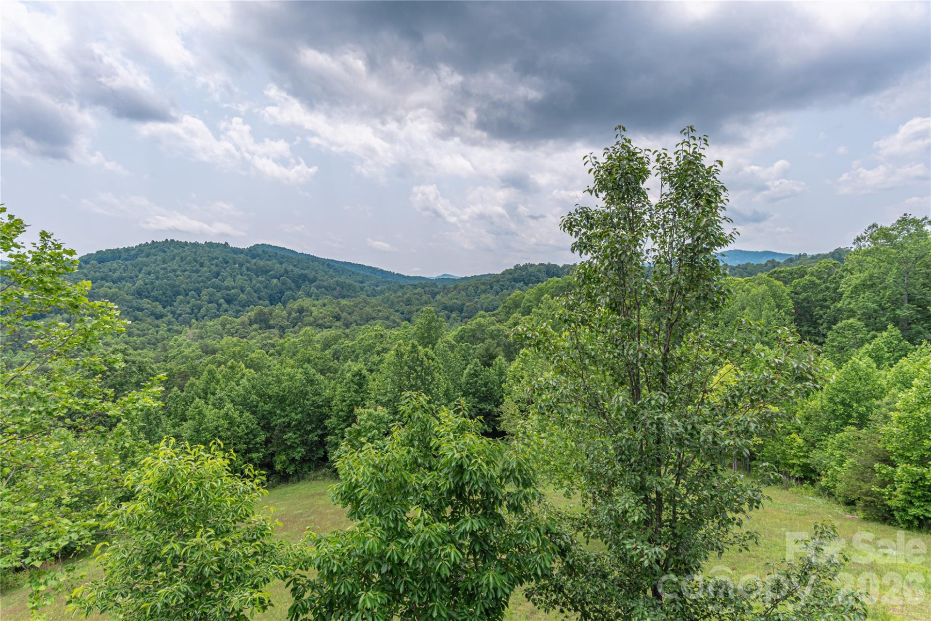 930 Big Raven Lane - Photo 5