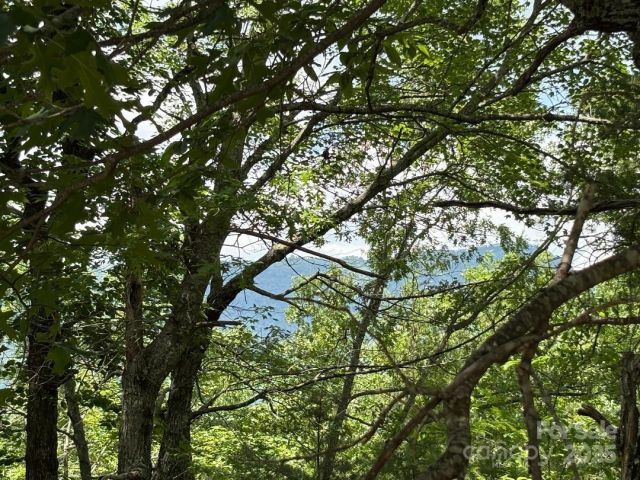 Lot 34 Oakwood Drive