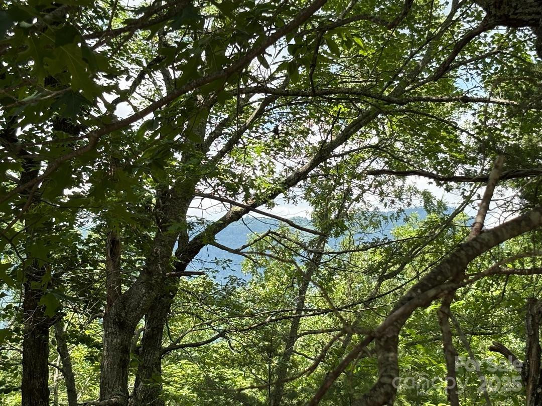 Lot 34 Oakwood Drive