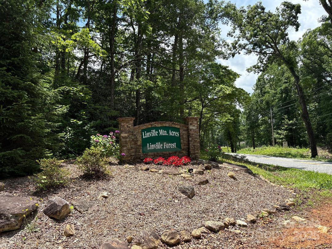 Lot 34 Oakwood Drive - Photo 2