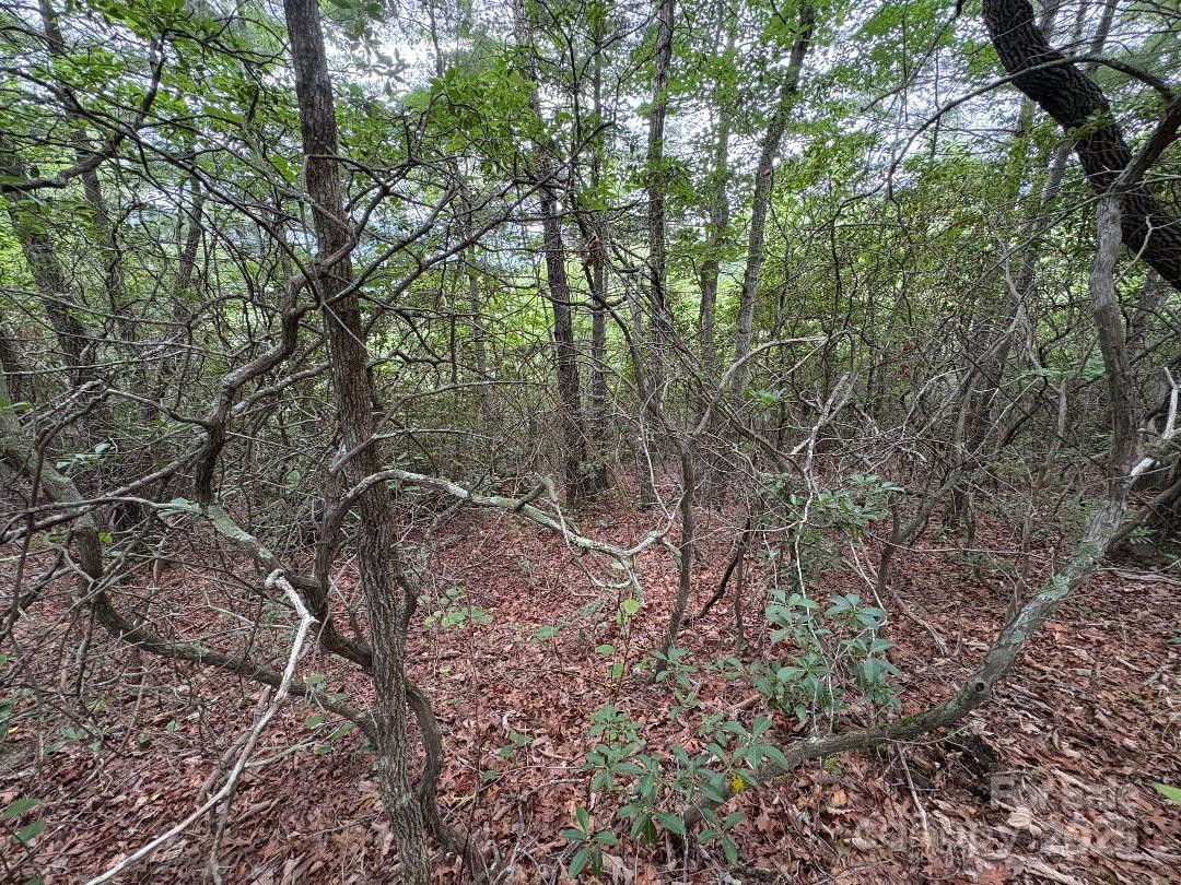 Lot 34 Oakwood Drive - Photo 11