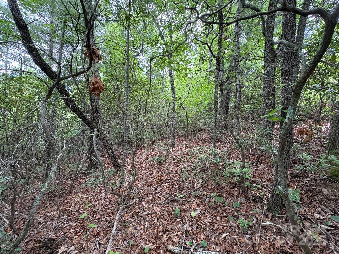 Lot 34 Oakwood Drive - Photo 12