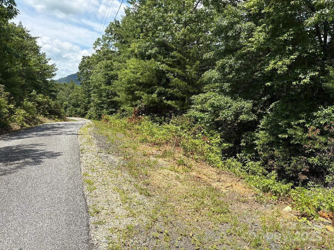 Lot 34 Oakwood Drive - Photo 13