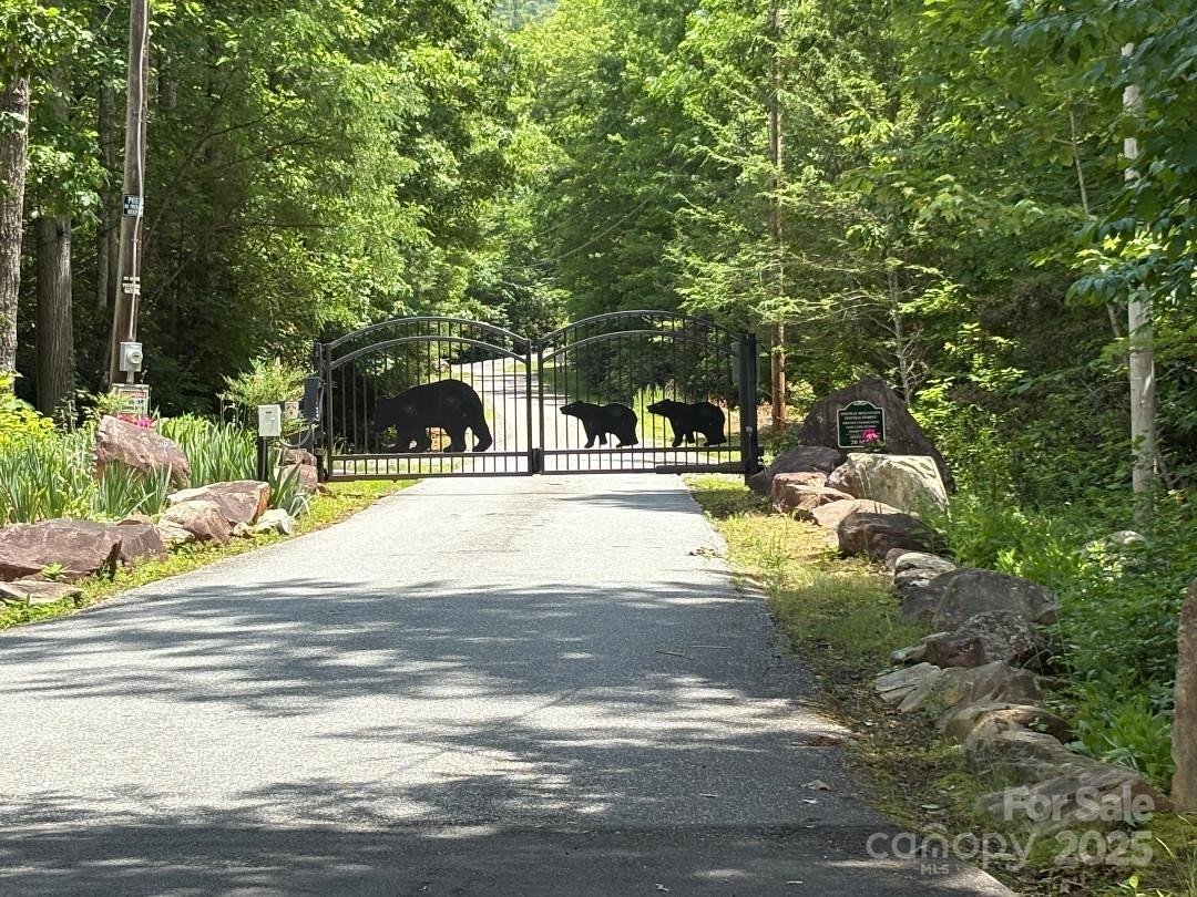 Lot 34 Oakwood Drive - Photo 3