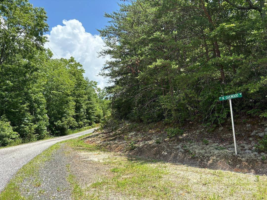 Lot 34 Oakwood Drive - Photo 5