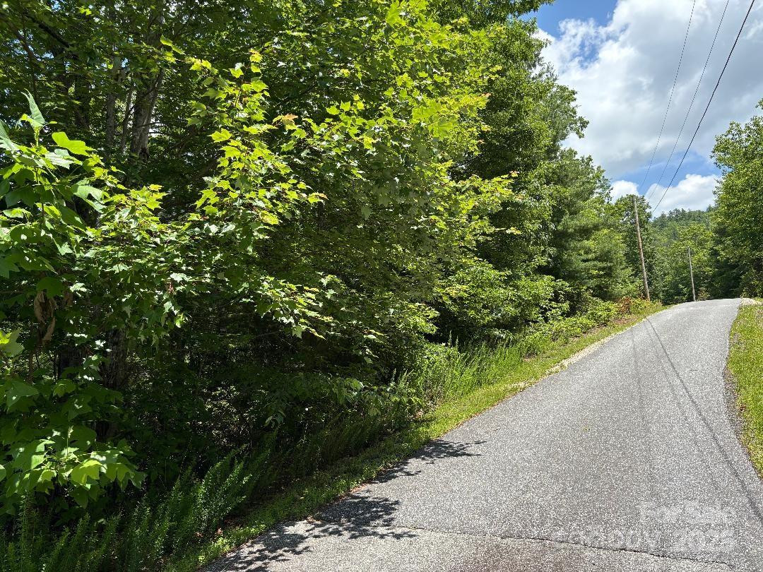 Lot 34 Oakwood Drive - Photo 6