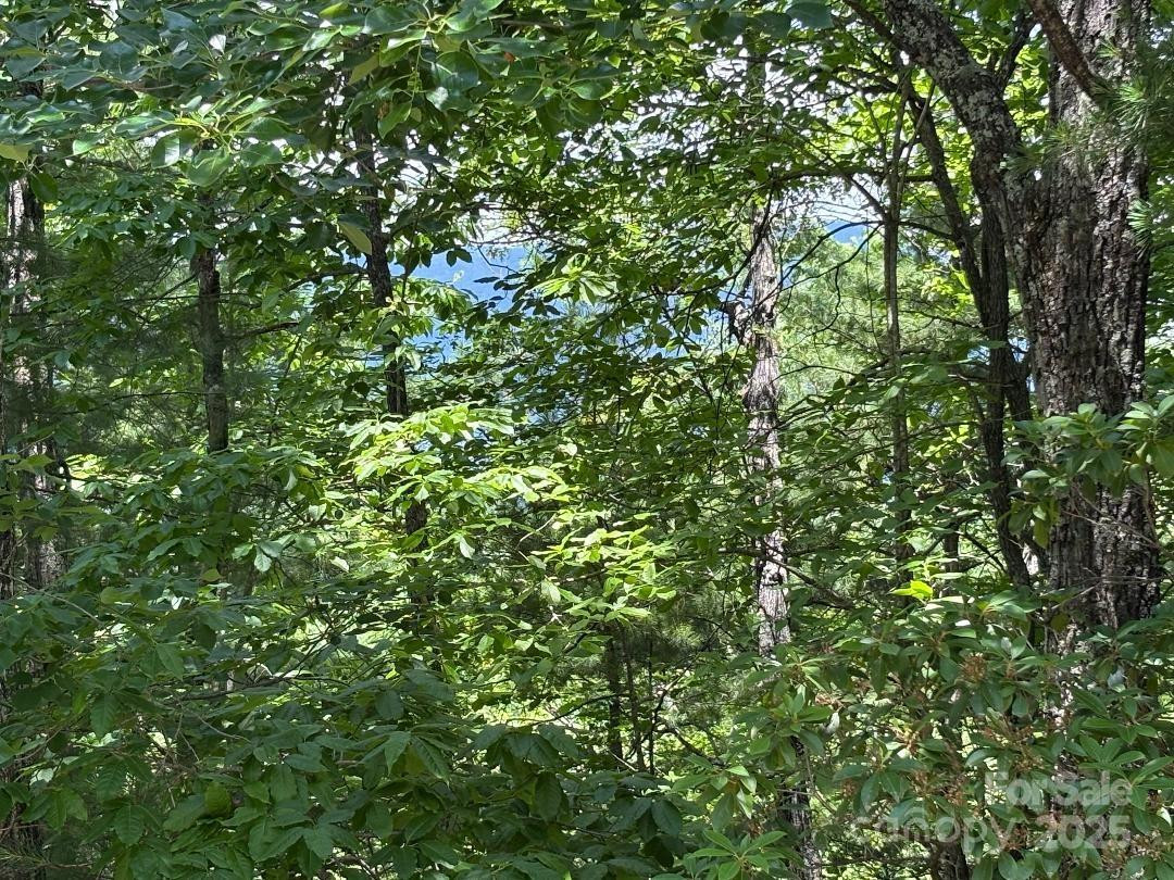 Lot 34 Oakwood Drive - Photo 7