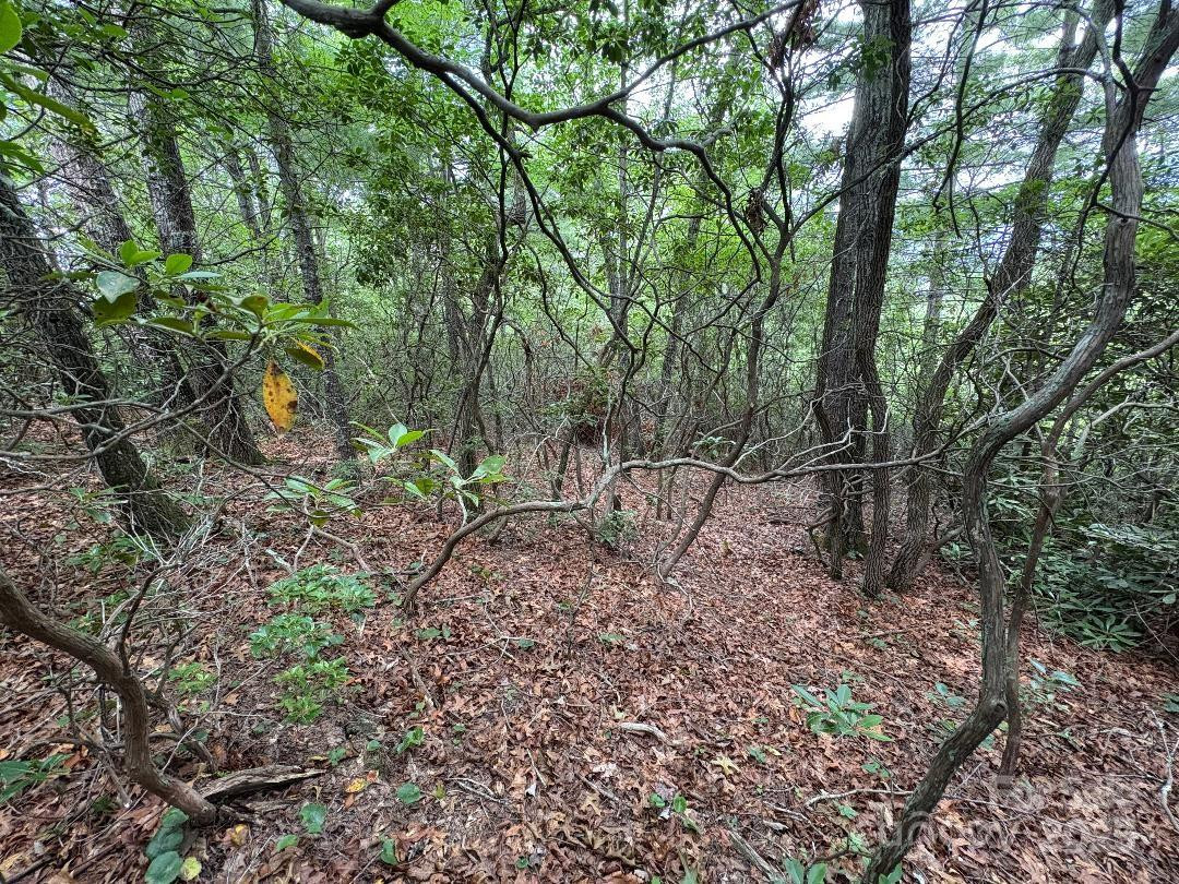 Lot 34 Oakwood Drive - Photo 8