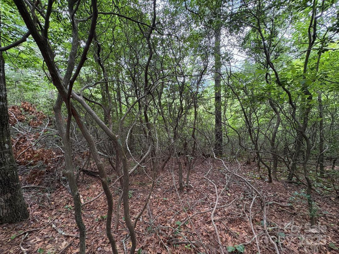 Lot 34 Oakwood Drive - Photo 9