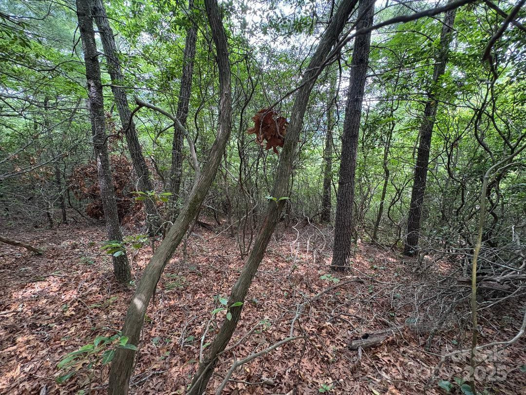 Lot 34 Oakwood Drive - Photo 10