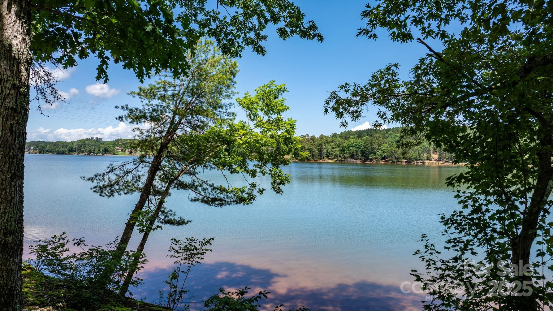 3085 Jumping Run #101 - Photo 2