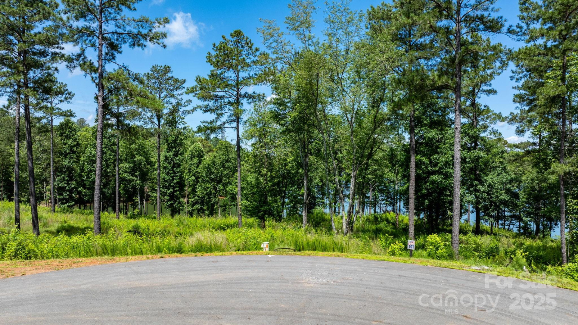 3085 Jumping Run #101 - Photo 12