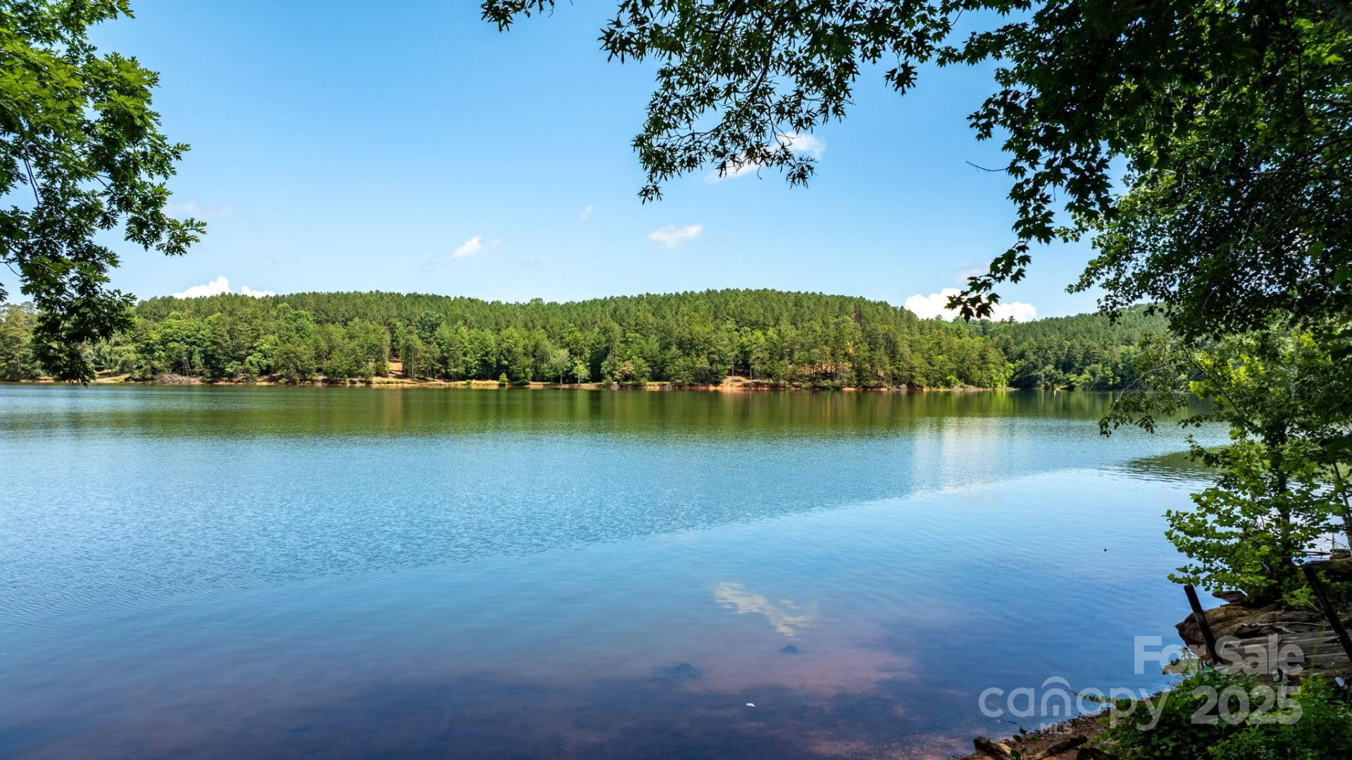 3085 Jumping Run #101 - Photo 3