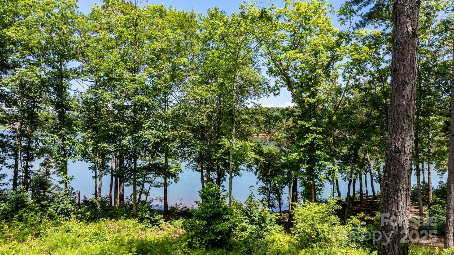 3085 Jumping Run #101 - Photo 8