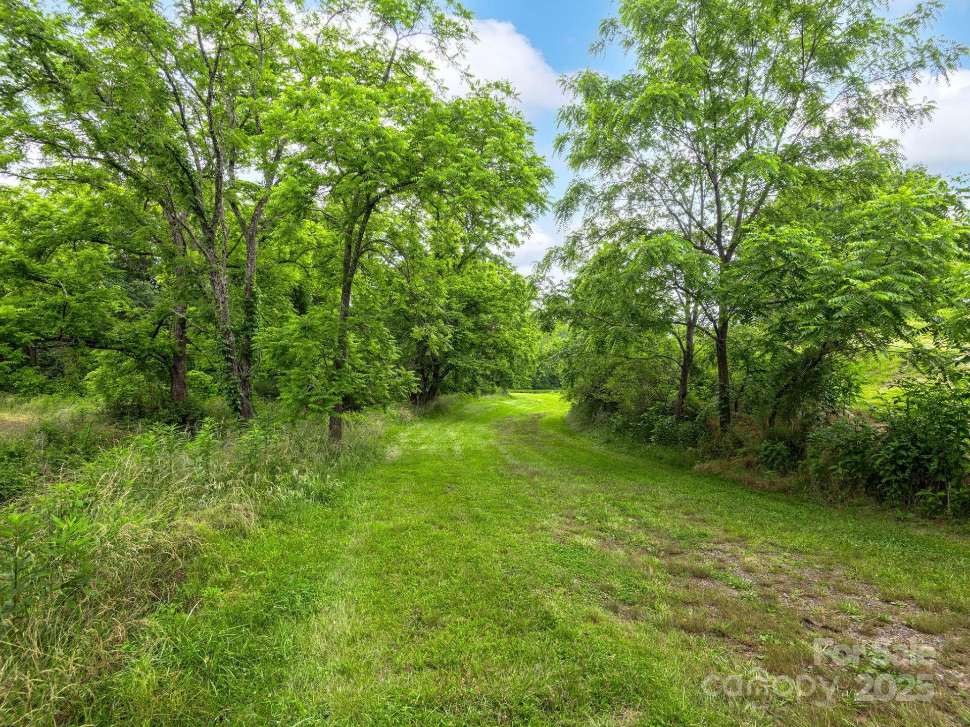 132 Rabbit Ham Road - Photo 38