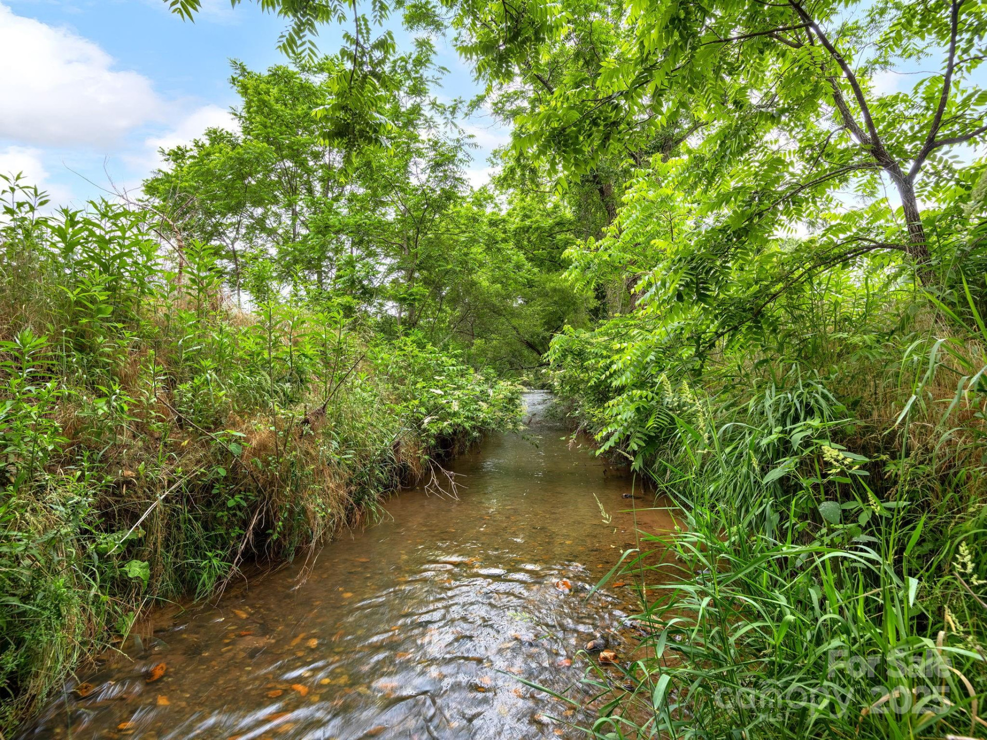 132 Rabbit Ham Road - Photo 39