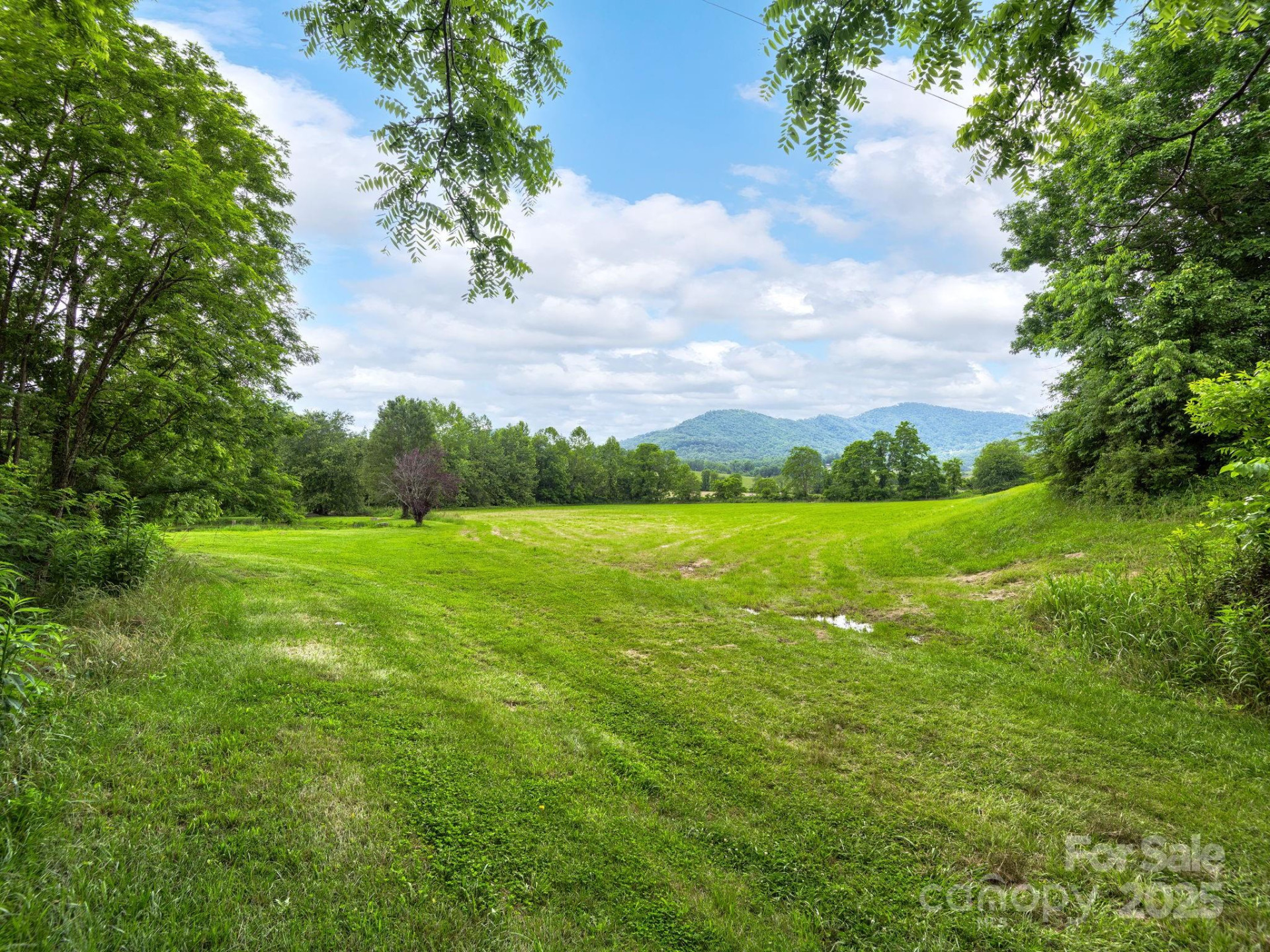 132 Rabbit Ham Road - Photo 42