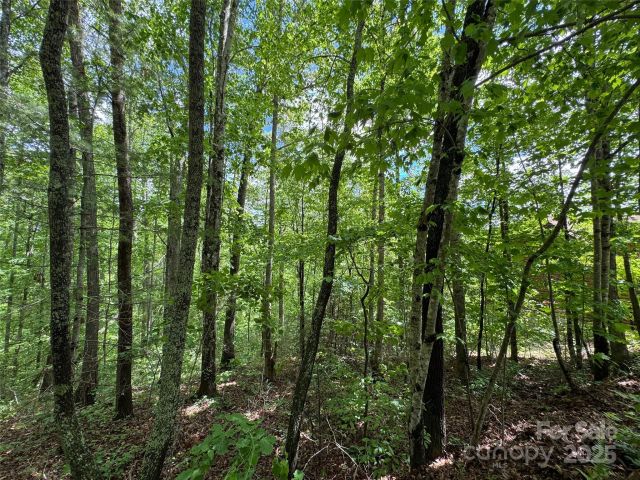 99999 Morning Star Drive, Leicester, NC, 28748