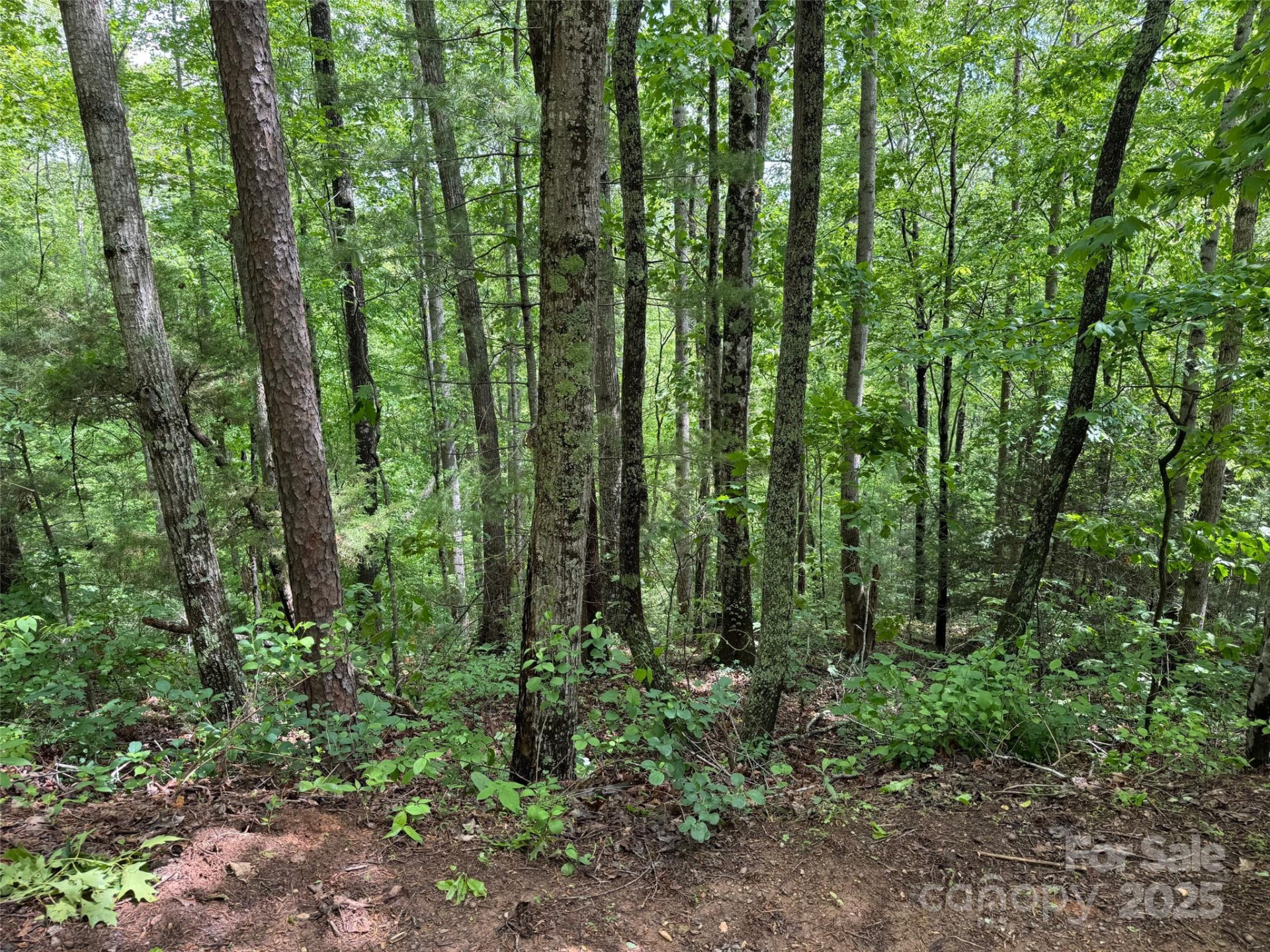 99999 Morning Star Drive #Lot 13 - Photo 3