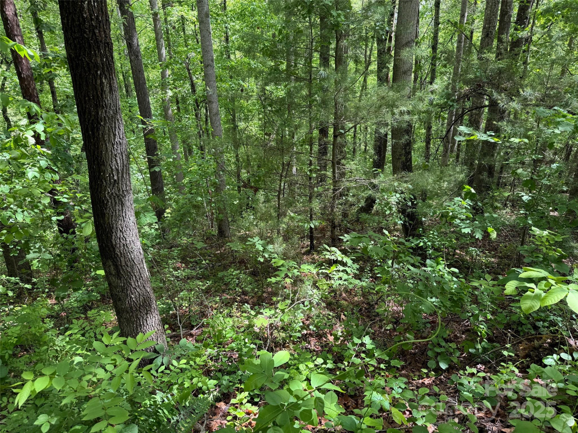 99999 Morning Star Drive #Lot 13 - Photo 4