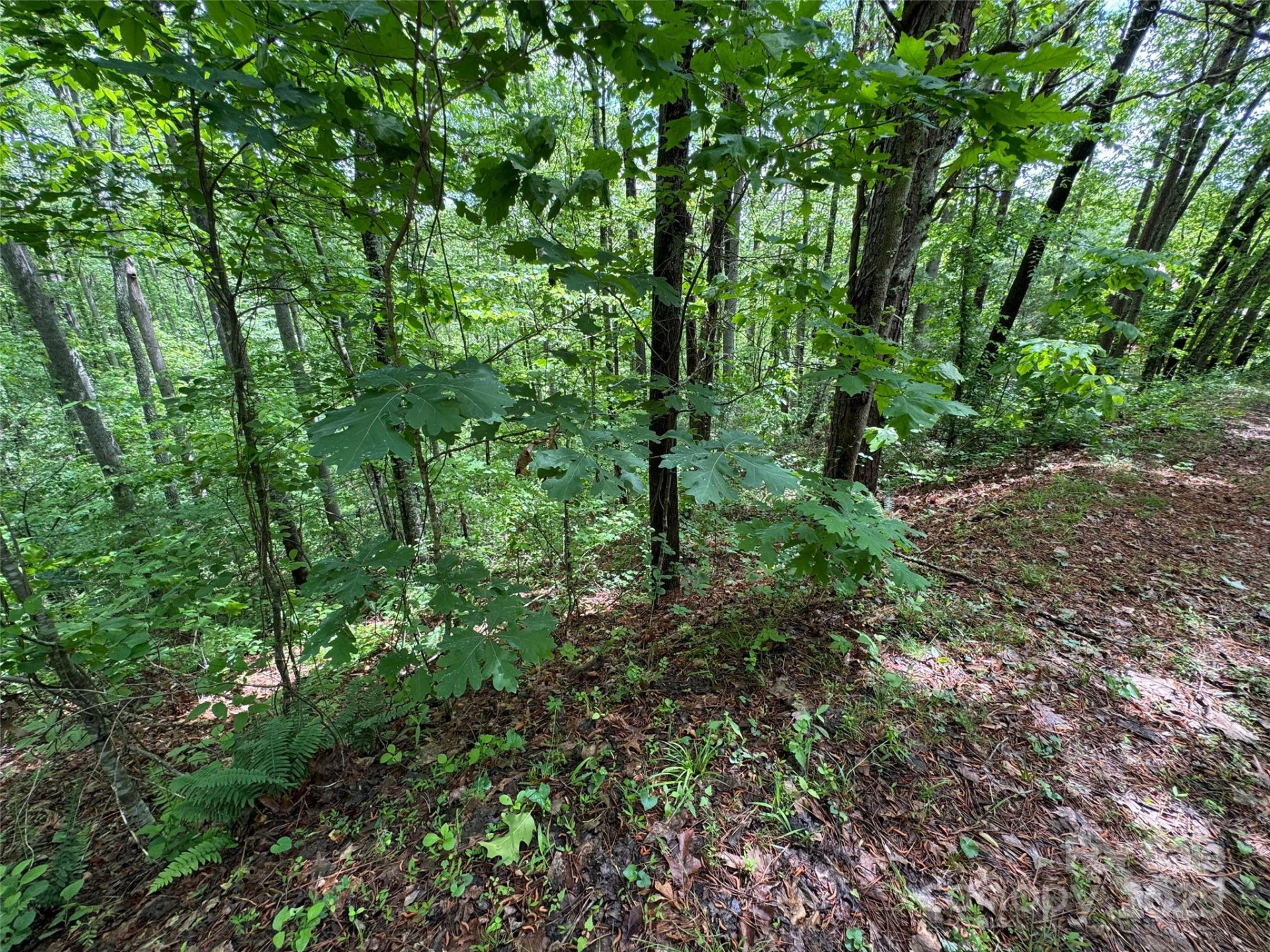 99999 Morning Star Drive #Lot 13 - Photo 6