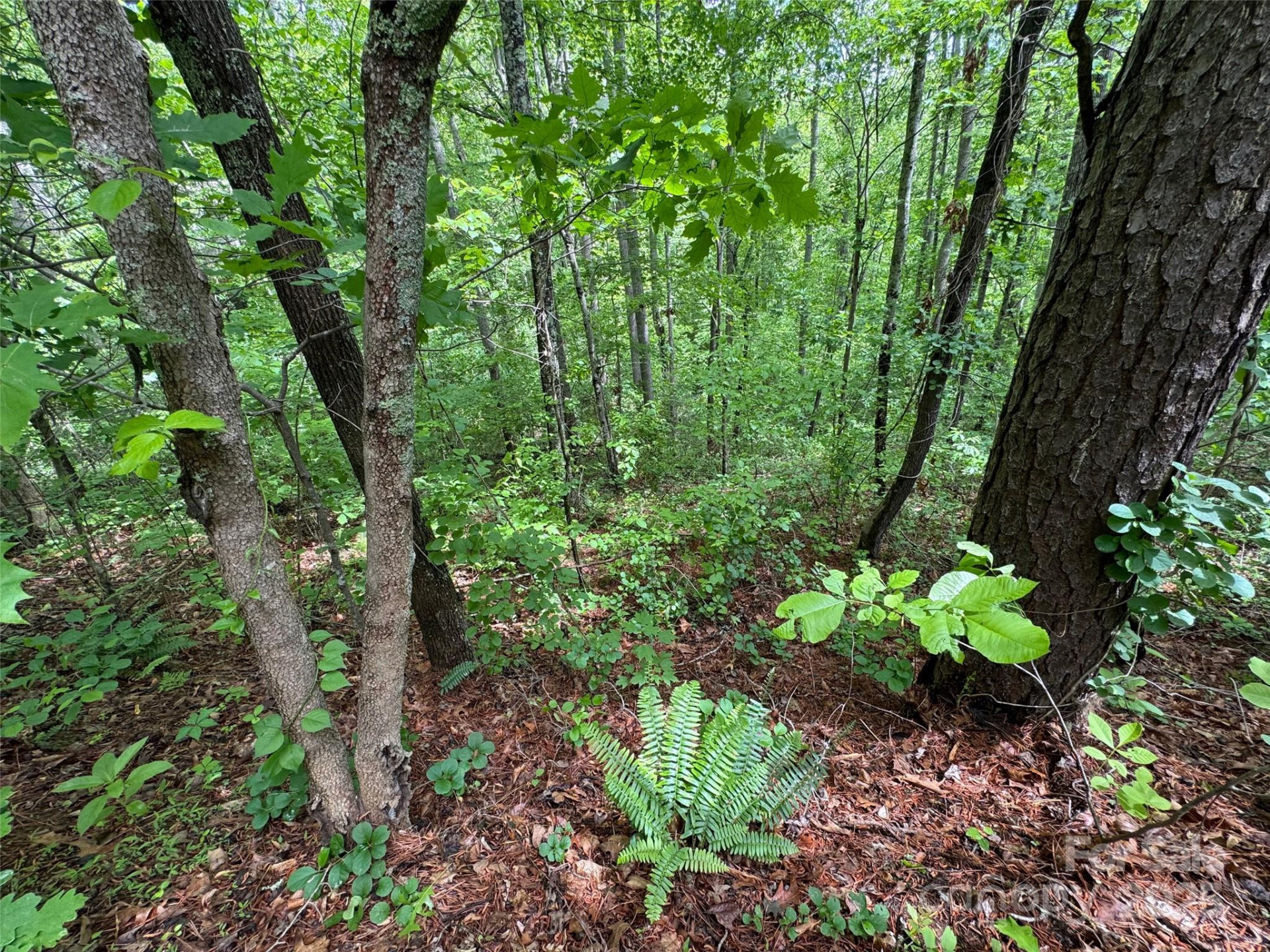 99999 Morning Star Drive #Lot 13 - Photo 7