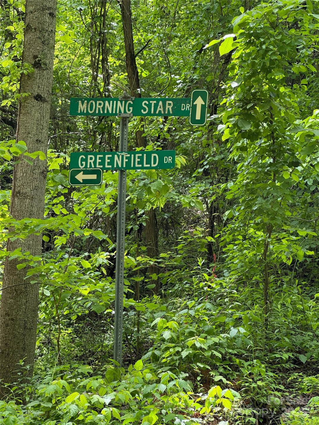 99999 Morning Star Drive #Lot 13 - Photo 10