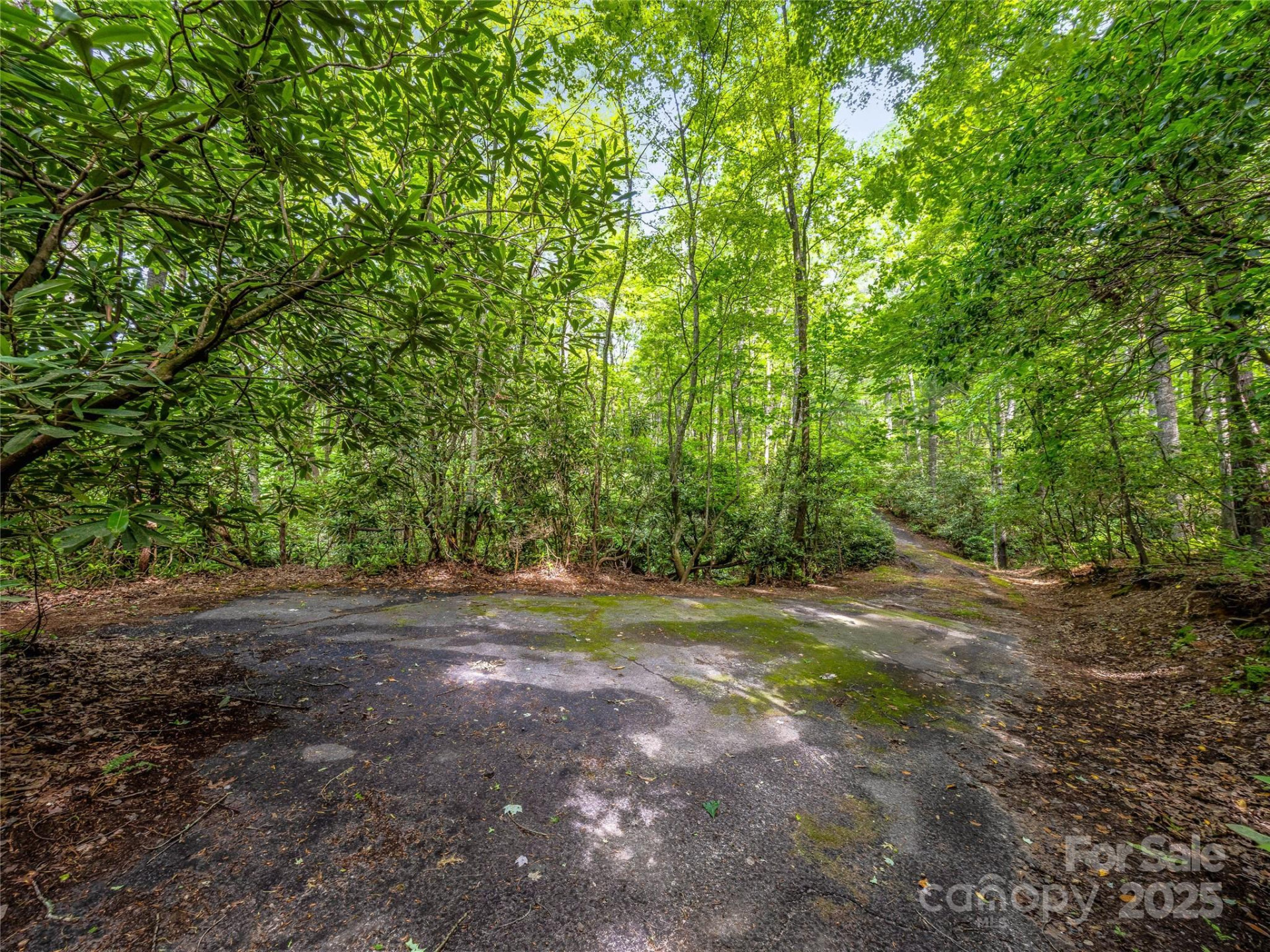 J 34 Cherokee Point #34 - Photo 2