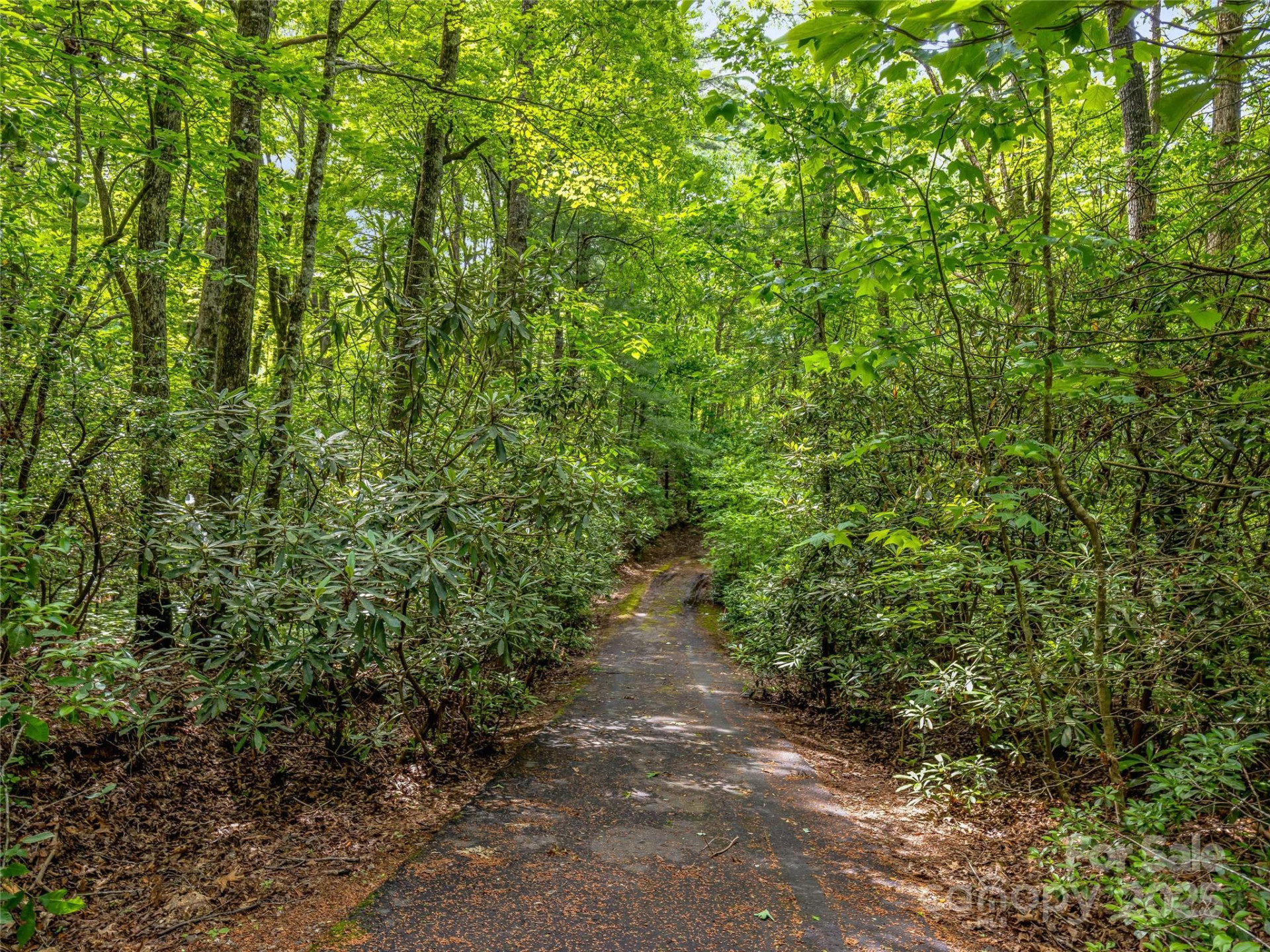 J 34 Cherokee Point #34 - Photo 20