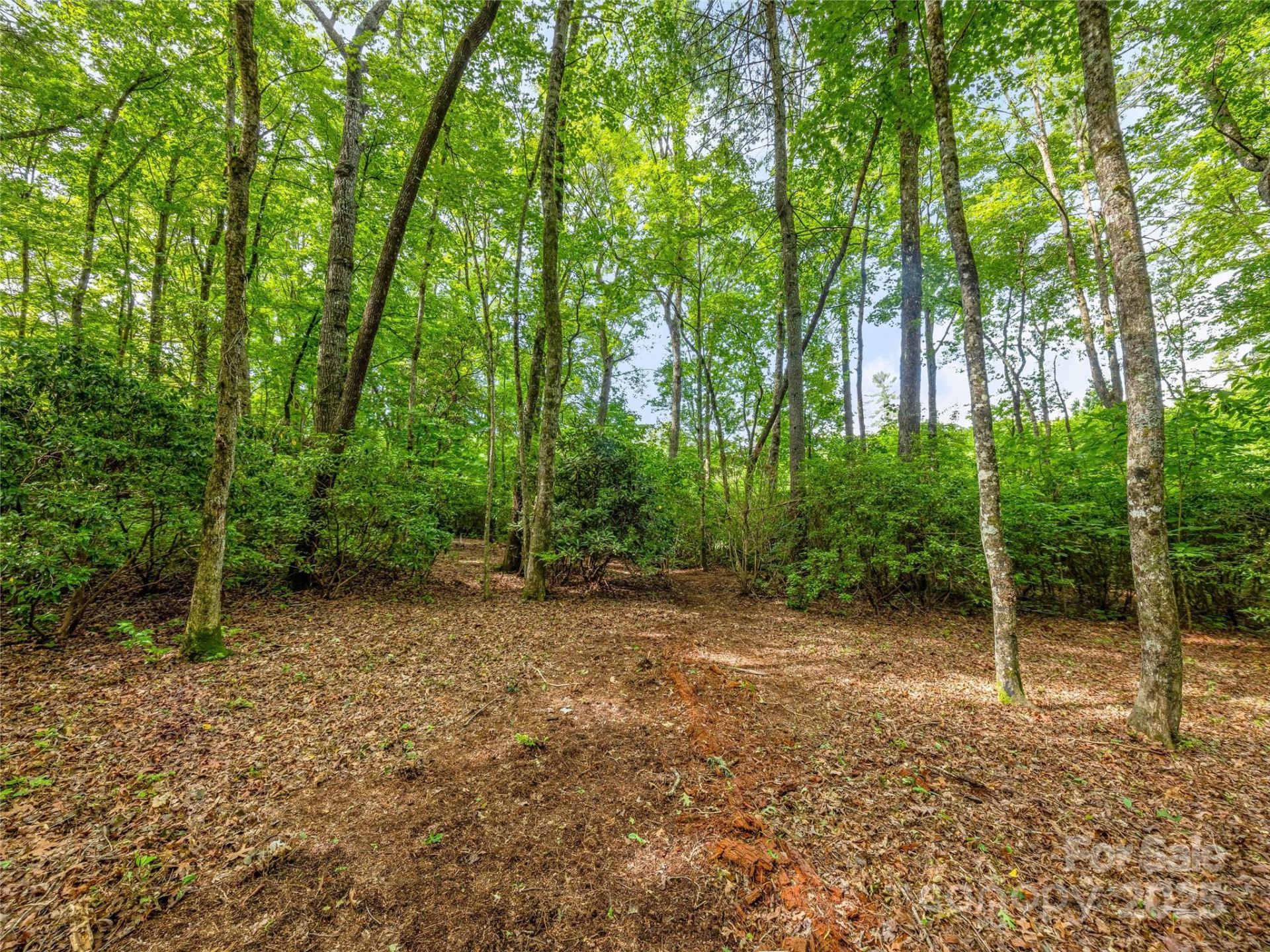 J 34 Cherokee Point #34 - Photo 3