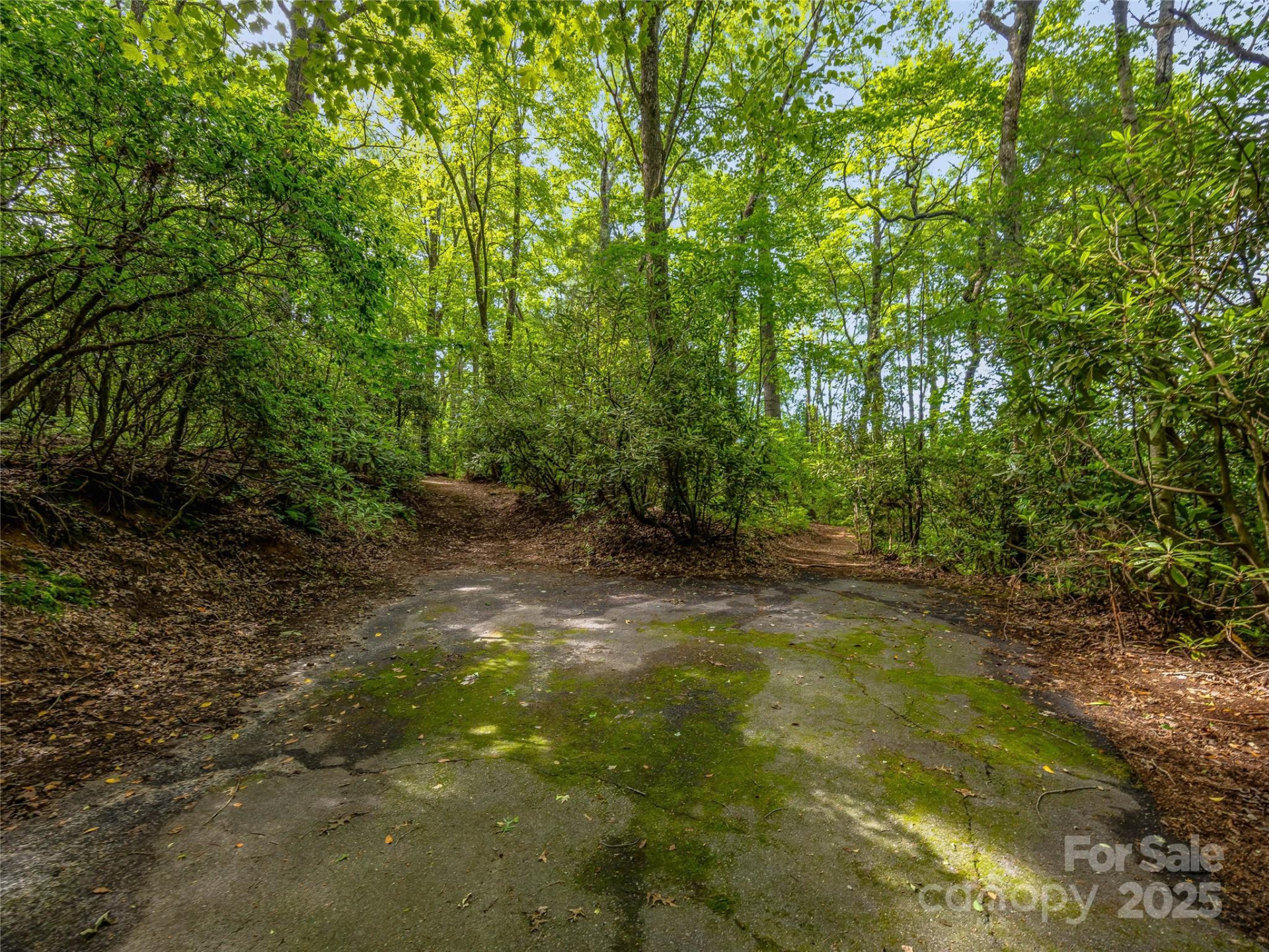 J 34 Cherokee Point #34 - Photo 23