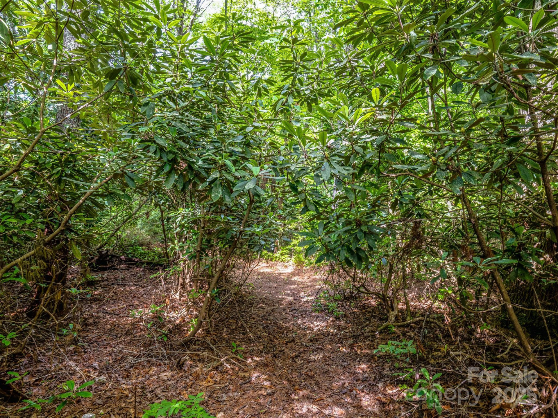 J 34 Cherokee Point #34 - Photo 24