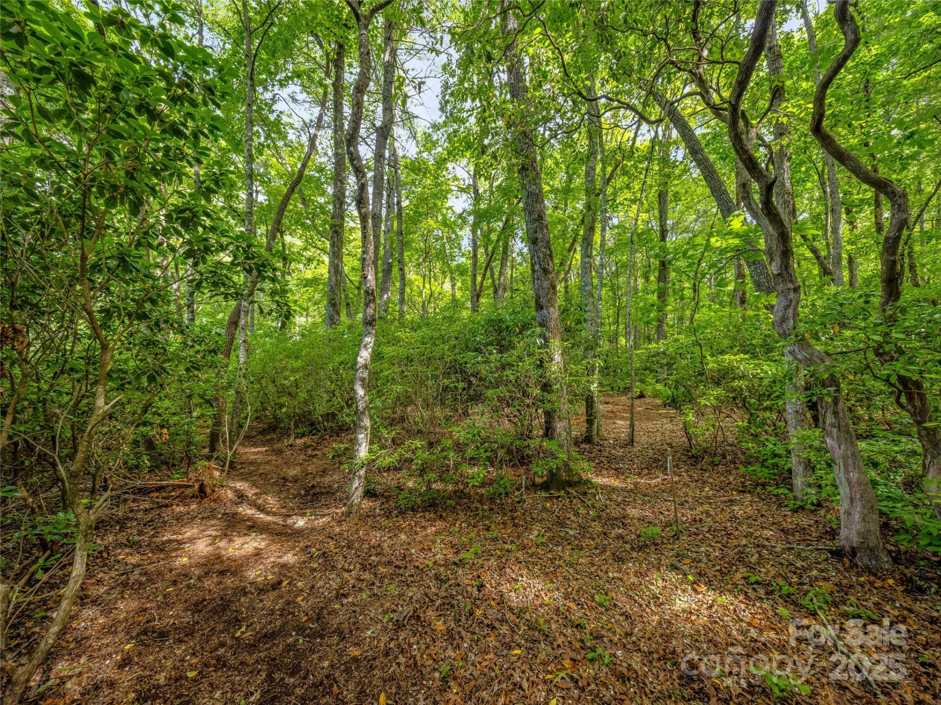 J 34 Cherokee Point #34 - Photo 5